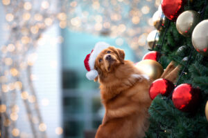 MDVSS Holiday Safety Pets