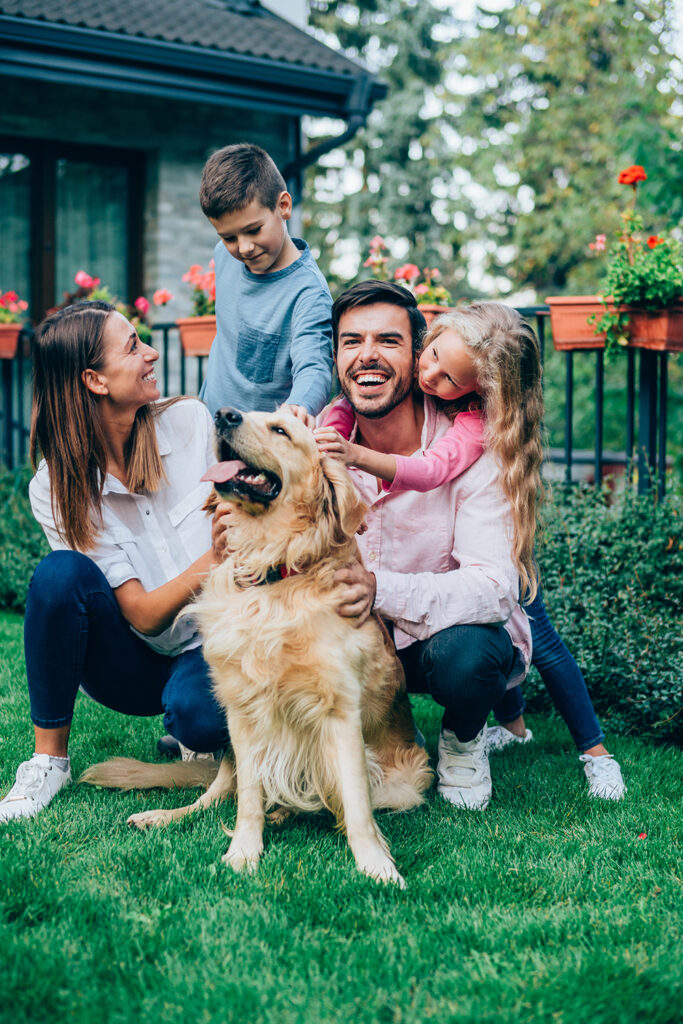 Helping Your Arthritic Dog Live a Comfortable Life Maryland