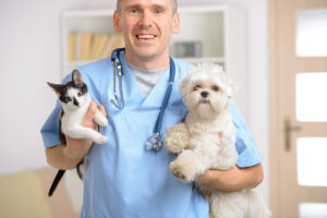 MDVSS Pet Medication