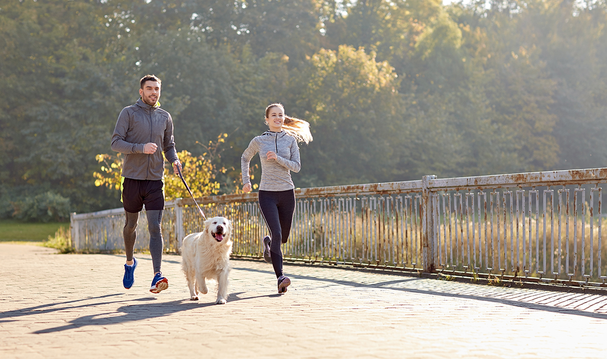 The Importance of Daily Exercise for Your Dog Maryland Veterinary