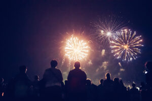 MDVSS Helping Pets Cope with Fireworks