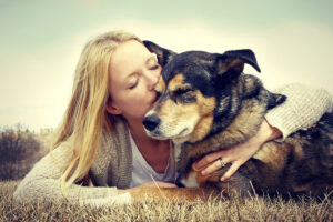 MDVSS Senior Dogs and Surgery