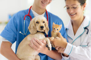 MDVSS Spaying and Neutering