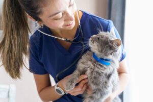 MDVSS Veterinary Follow-Up Appointments